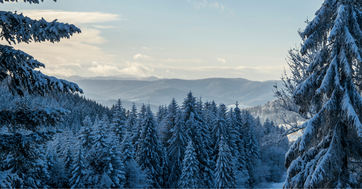 winter storage solutions